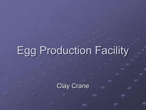 Egg Production Facility