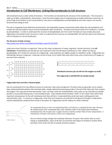 Introduction to Cell Membranes