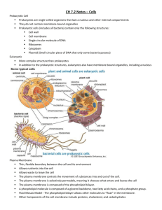 CH 7.2 Notes – Cells