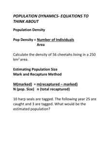Population%20dynamics%20equations[1]