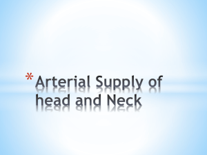Arterial Supply of head and Neck