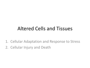 Altered Cells and Tissues