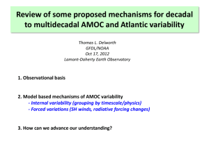 Mechanisms of Atlantic meridional overturning circulation variability