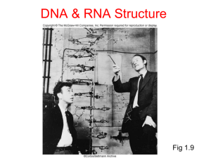 Lec. 1 - DNA and RNA structure