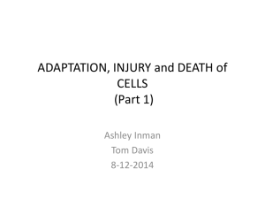 ADAPTATION, INJURY and DEATH of CELLS Part 1