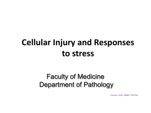 Cellular Injury and Responses to stress