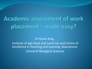 Work placement assessment – made easy?