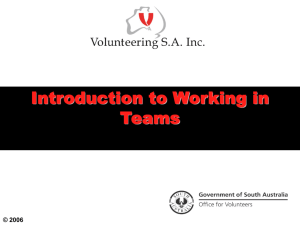 Working In Teams Presentation (PPT 1.2 MB)
