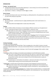 Introduction: Training – two separate issues: Transformation