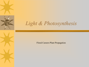 Light & Photosynthesis