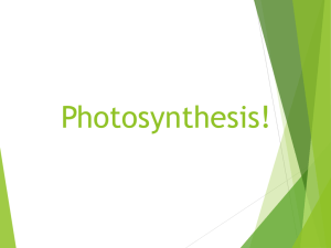 Photosynthesis Intro