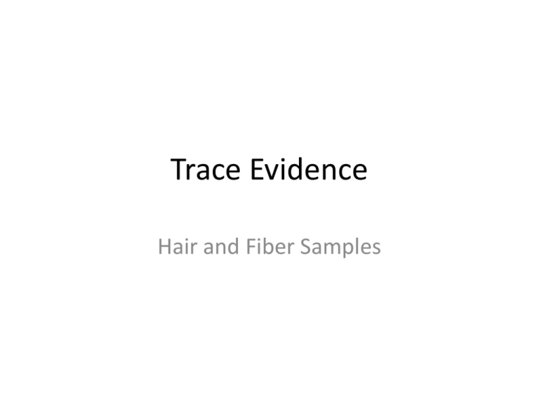 trace-evidence