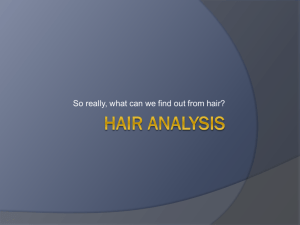 Hair Analysis Power Point