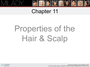 Ch 11 Properties of Hair and Scalp