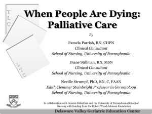 Palliative Care in the Nursing Home Setting