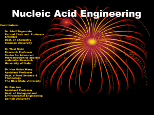 Nucleic Acid Engineering