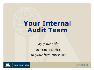Your Internal Audit Team - Institute of Internal Auditors South Africa