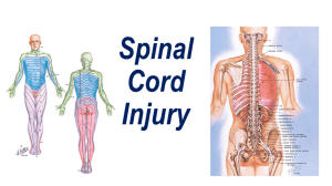 Who gets spinal cord injuries and how?