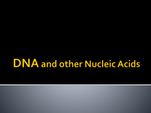 DNA and other Nucleic Acids