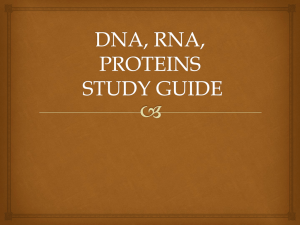 dna,rna protein synthesis ppt
