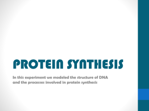 Group B PROTEIN SYNTHESIS