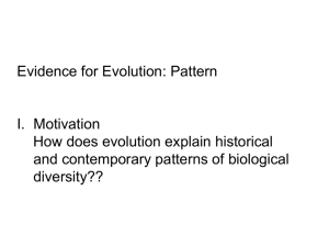 Pattern of Evolution