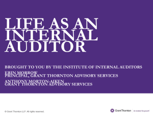 Life as an Internal Auditor - The Institute of Internal Auditors