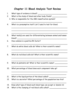 history of the internet essay judaism