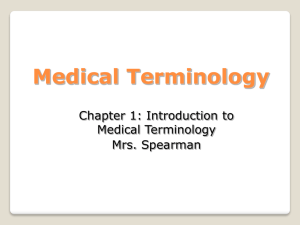 File - Mrs. Spearman's Medical Terminology Class