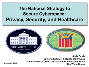 the president's critical infrastructure protection board