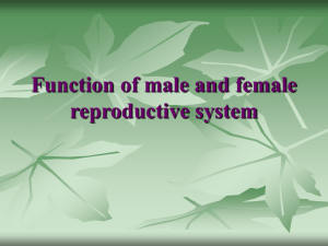 Function of male and female reproductive system