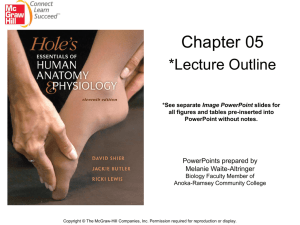 Chapter 5 Lecture