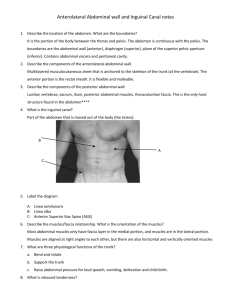 Anterolateral Abdominal wall and Inguinal Canal