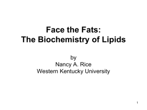 Face the Fats: Understanding the Biochemistry of Lipids