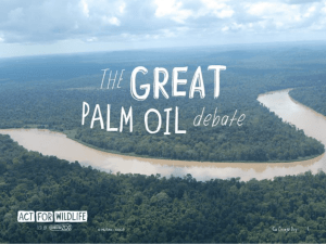 PSHE Debate Powerpoint The Great Palm Oil