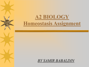 Homeostasis - A level biology
