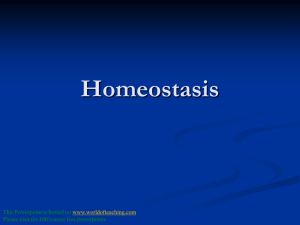Homeostasis- Notes