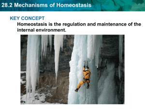 28.2 Mechanisms of Homeostasis