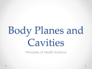 Body Planes and Cavities