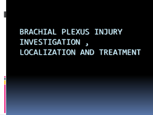 BRACHIAL PLEXUS INJURY INVESTIGATION