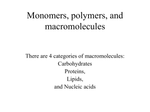 Biomolecules