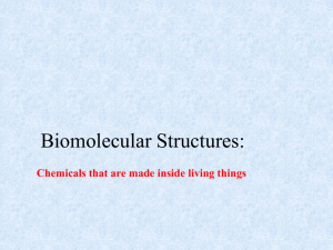1.3.4 Biomolecular Sources and the Components of Food