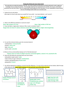 1.1 BioMolecules Study Guide_KEY
