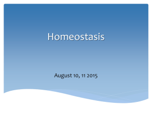Homeostasis and Directional Terms