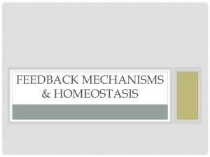 Feedback Mechanisms & Homeostasis