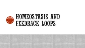 Homeostasis, Feedback mechanism and Enzymes