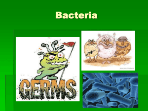 Bacteria - gcaramsbiology