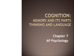 AP Chapter 7 Cognition