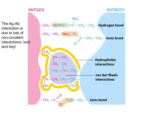 Ch6_Antigen-Antibody Interactions