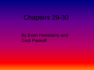 Great Expectations Chapters 29-30
